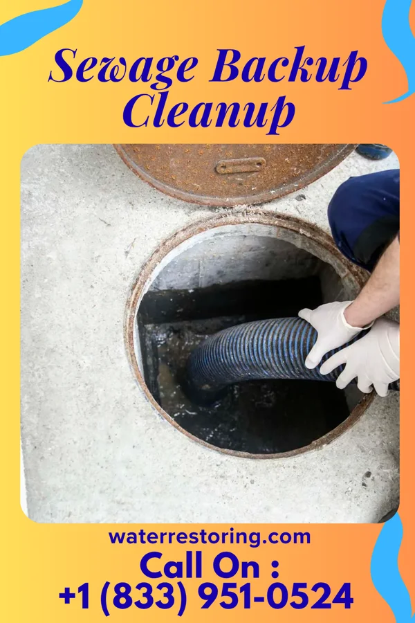 Sewage Backup Cleanup in Belfield, ND